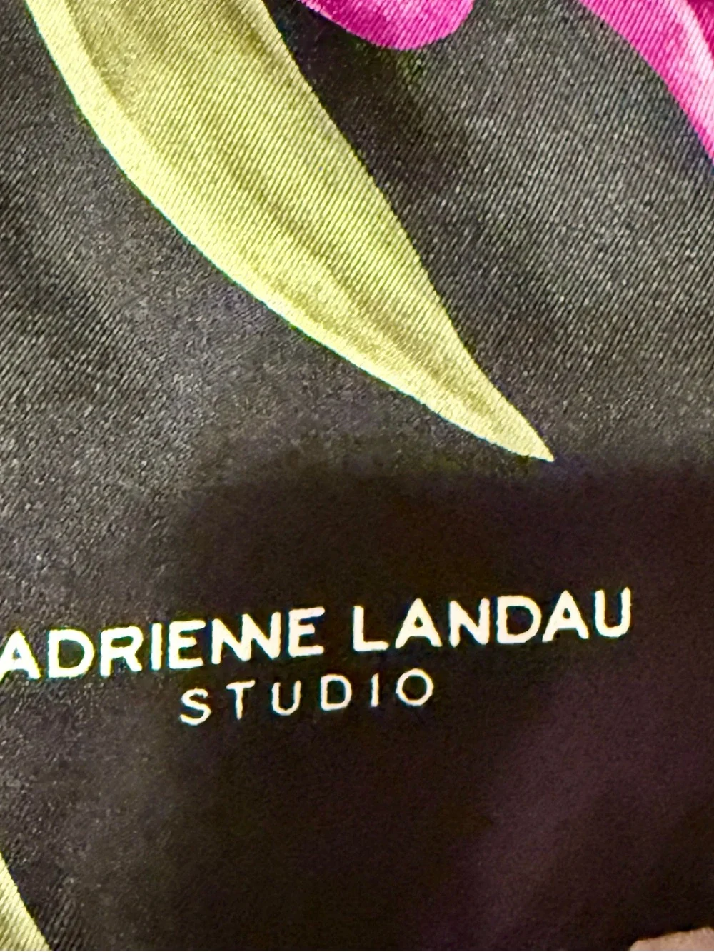 Adrienne Landau Studio Silk Scarf